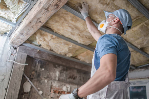 Types of Insulation We Offer in Hull, IA