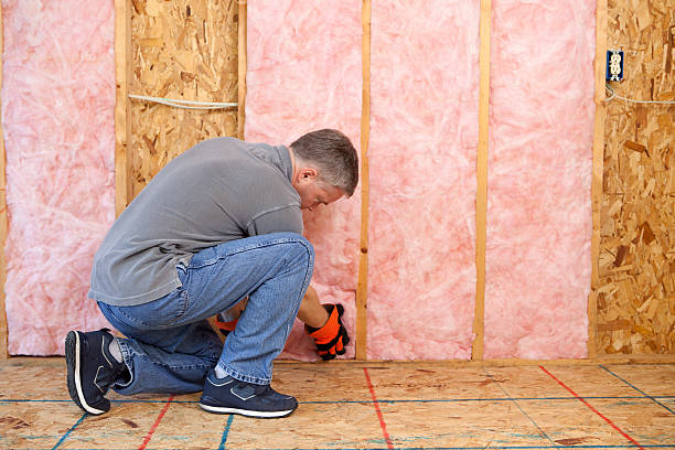 Best Commercial Insulation in Hull, IA