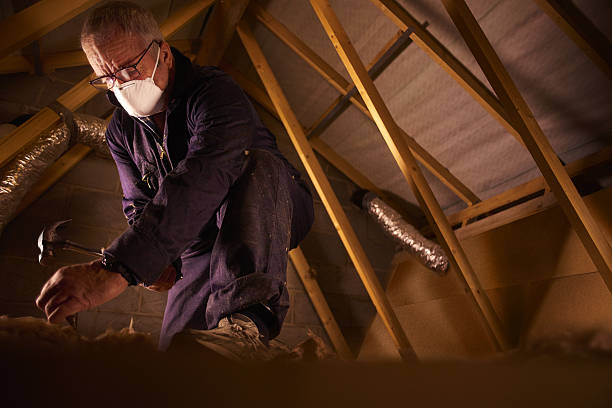 Best Geographic-Specific Insulation Services in Hull, IA